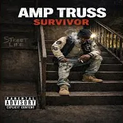 Amp Truss